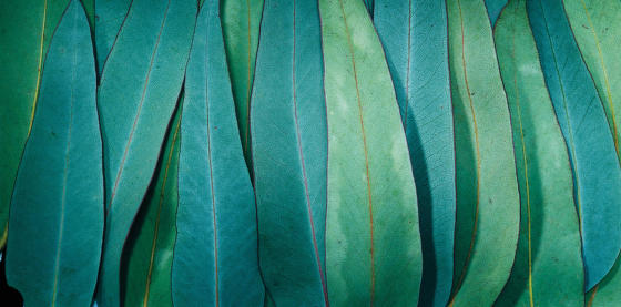 Chladnější než bavlna