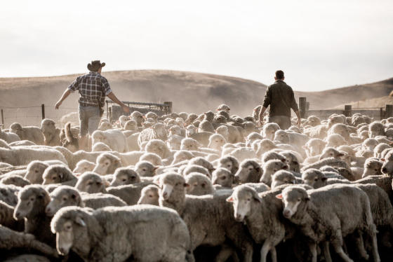 Měníme zaběhlé zvyky