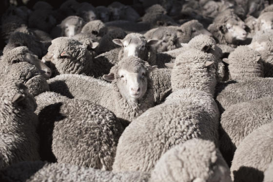 Transparentní a hrdí