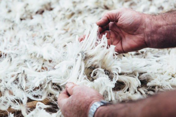 Tradice trvající 21 let