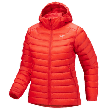 Bunda Arcteryx Cerium Hoody Women Dynasty