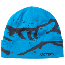 Čepice Arcteryx Grotto Toque Aquaculture / Black