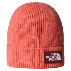 Čepice The North Face TNF LOGO BOX CUFFED BEANIE EED MARS DUST/SUMAC