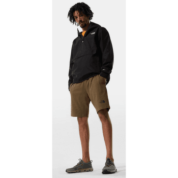 Kraťasy The North Face Graphic Short Light Men IRON RED