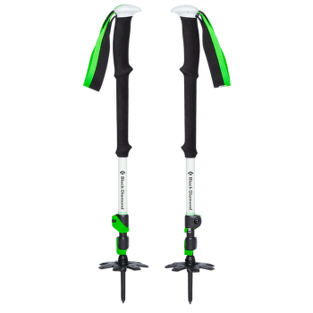 Hole Black Diamond EXPEDITION 3 SKI POLES