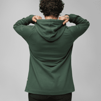 Mikina Fjällräven Vardag Hoodie Women Deep Patina