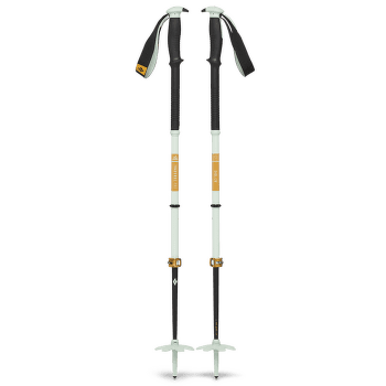 Hole Black Diamond TRAVERSE PRO SKI POLES Foam Green
