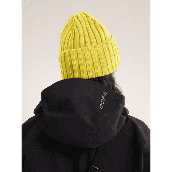 Čepice Arcteryx Chunky Ribbed Toque Olive Moss / Bliss