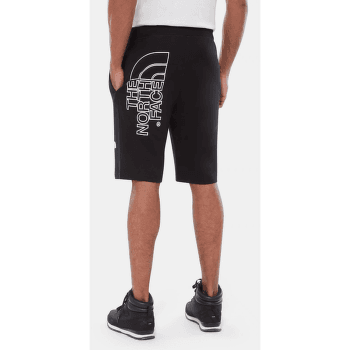 Kraťasy The North Face Graphic Short Light Men IRON RED