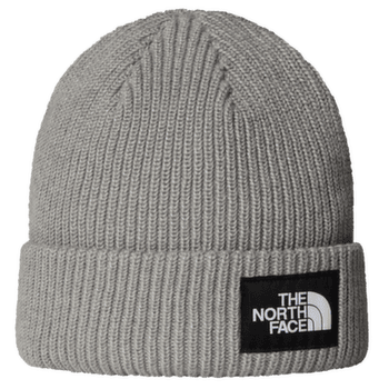 Čepice The North Face SALTY LINED BEANIE TNFLIGHTGREYHTR