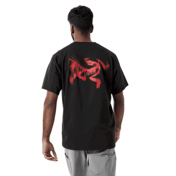 Triko krátký rukáv Arcteryx Kragg SL Cotton Blurred Bird SS Men Black/Dynasty
