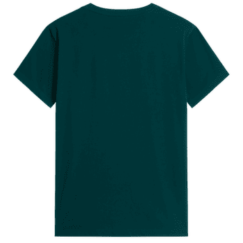 Triko krátký rukáv The North Face Evolution Simple Dome Regular Short Sleeve Men N4J PACIFIC TEAL