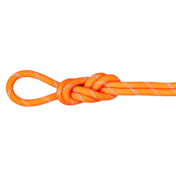 Lano Mammut 9.5 Alpine Dry Dry Standard 11256
