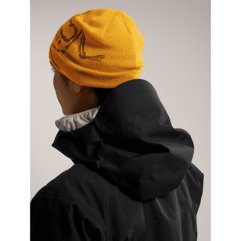 Čepice Arcteryx Bird Head Toque Mantis / Arctic Silk