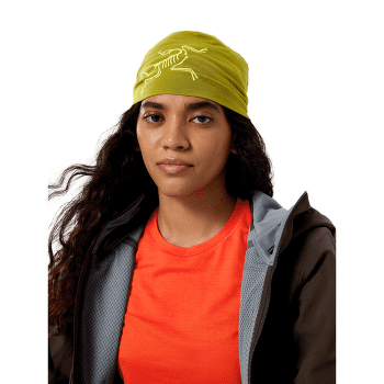 Čepice Arcteryx Satoro Merino Toque Mantis