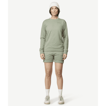Triko dlouhý rukáv Devold Everyday Crew Women FOG
