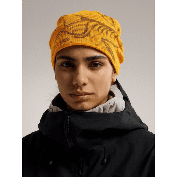 Čepice Arcteryx Bird Head Toque Mantis / Arctic Silk