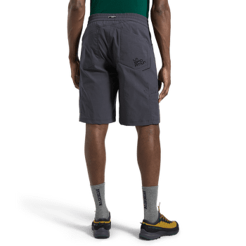 Kraťasy La Sportiva TALUS SHORTS Men Redwood/Cypress