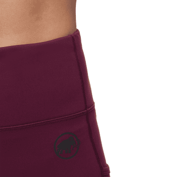 Legíny Mammut Crag Winter Tights Women 3800 vin