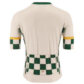 Triko krátký rukáv Craft ENDUR TRAINING JERSEY Men PLASTER/GREEN