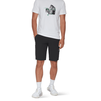 Kraťasy Mammut Hiking V Shorts Men 50665 tschiel