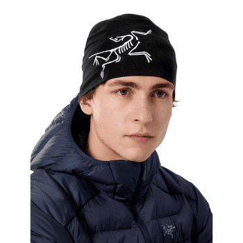 Čepice Arcteryx Satoro Merino Toque Mantis
