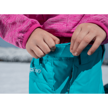 Kalhoty Columbia Bugaboo™ II Pant Collegiate Navy 465