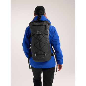 Batoh Arcteryx Alpha FL 20 Dynasty