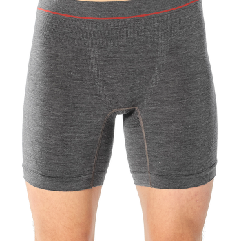 Boxerky Icebreaker Anatomica Seamless Long Boxers Men ROOTE