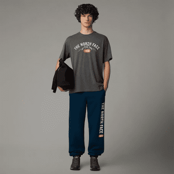Triko krátký rukáv The North Face TEE VARSITY GRAPHIC S/S Men TNFMEDIUMGRYHTR