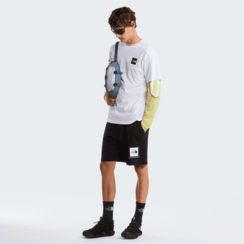 Triko krátký rukáv The North Face Evolution Box Half Dome Regular Short Sleeve Men TNF BLACK