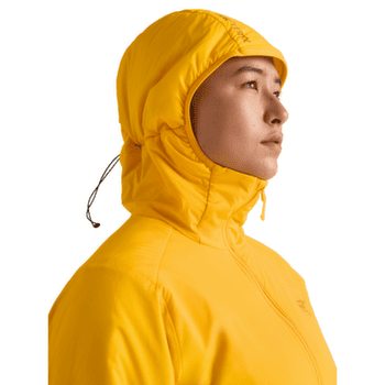 Bunda Arcteryx Atom Hoody Women Pineberry