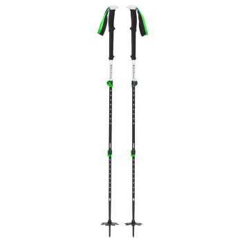 Hole Black Diamond EXPEDITION 3 SKI POLES