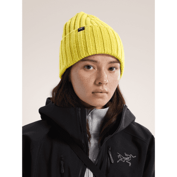Čepice Arcteryx Chunky Ribbed Toque Olive Moss / Bliss