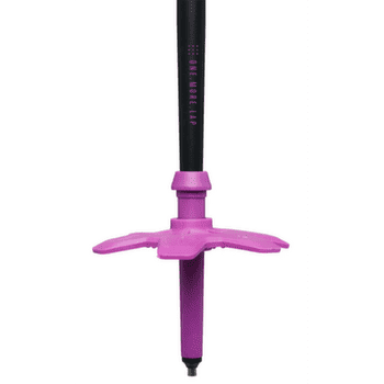 Hole Black Diamond EXPEDITION SKI POLES BD Purple