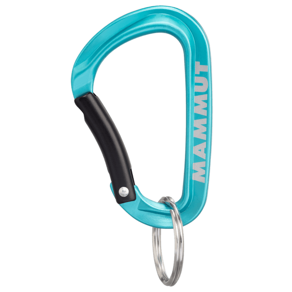 Karabina Mammut Mini Carabiner Classic Keylock S blue 5018
