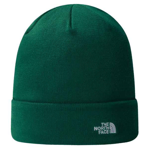 Čepice The North Face NORM BEANIE EVERGREEN