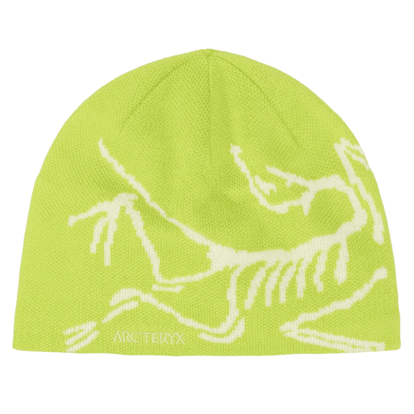 Čepice Arcteryx Bird Head Toque Mantis / Arctic Silk