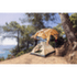 DARWIN SUMMER 3