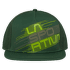 Trucker Hat Stripe Evo Forest