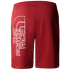 Kraťasy The North Face Graphic Short Light Men IRON RED