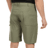 Kraťasy Direct Alpine Mordor Short 1.0 stone/anthracite