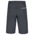 Kraťasy Direct Alpine SOLO anthracite