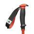 Hole Black Diamond TRAVERSE SKI POLES Octane