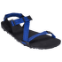 Z-Trail EV Men Sodalite Blue