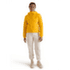 Bunda Arcteryx Atom Hoody Women Pineberry