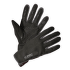 Rukavice Direct Alpine SKISPORT 1.0 black/orbit