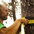 Slackline Gibbon ClassicLine XL Treewear Set