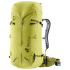 Guide 34+8 sprout-cactus