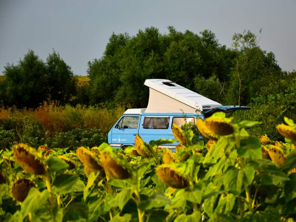 camper-van